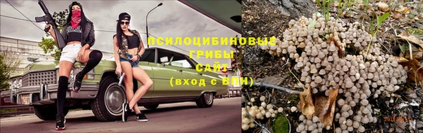 спиды Абинск