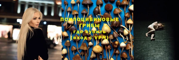 спиды Абинск