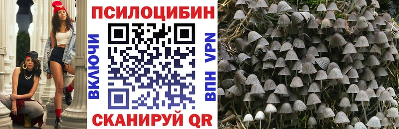 KRAKEN рабочий сайт  продажа наркотиков  Сертолово  Псилоцибиновые грибы Magic Shrooms 