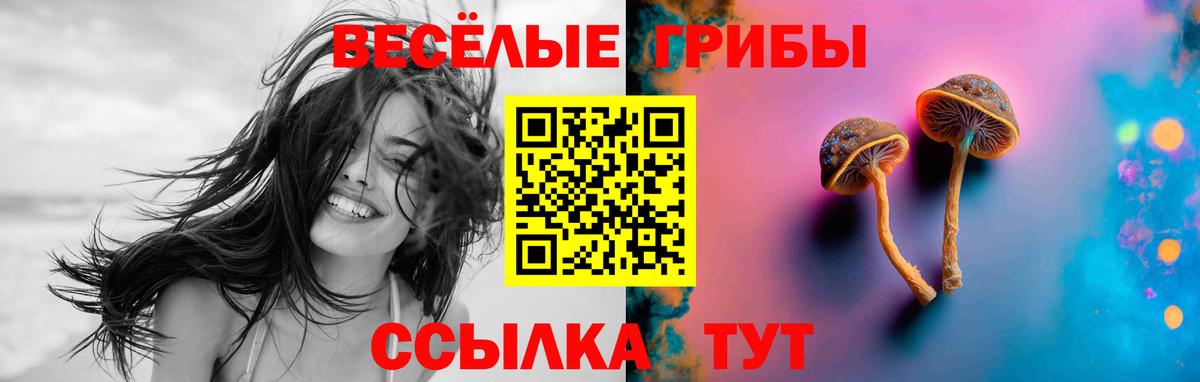 Галлюциногенные грибы Psilocybe  Галлюциногенные грибы Psilocybine cubensis  Вход с VPN  Сертолово 