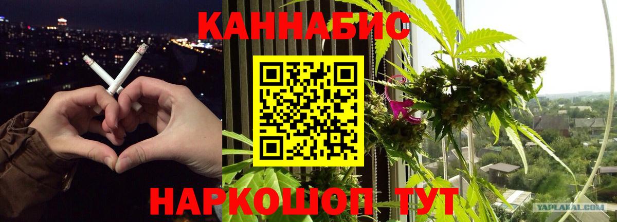 Марихуана сатива  МАРИХУАНА LSD WEED  Каннабис семена  Вход с VPN  Сертолово  Марихуана SATIVA & INDICA 